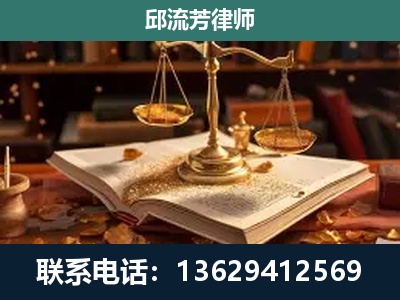 德宏傣族-刑事案件